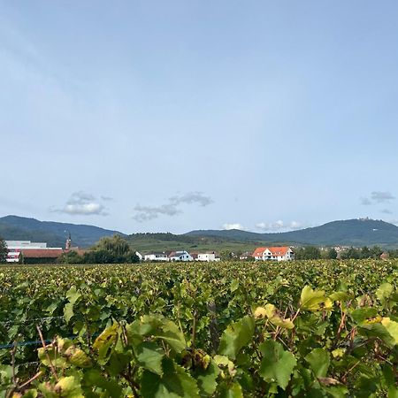 Oasis Tout Confort A Bergheim, Alsace Exterior photo