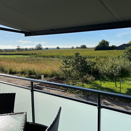 Oasis Tout Confort A Bergheim, Alsace Exterior photo