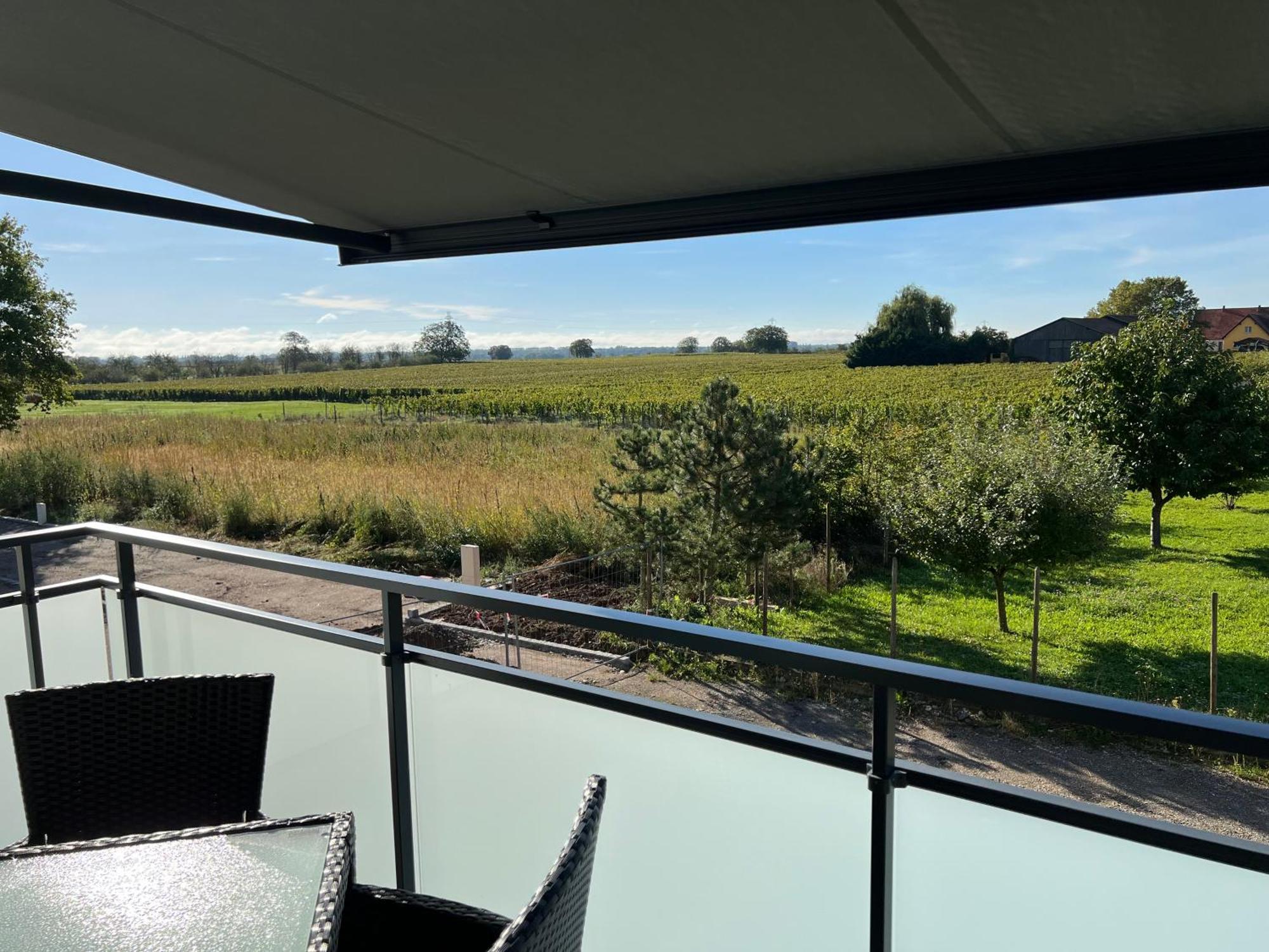 Oasis Tout Confort A Bergheim, Alsace Exterior photo